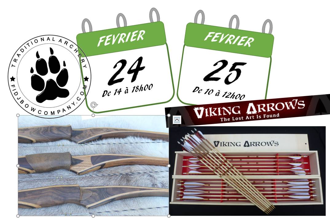 Viking Arrows et Fidjbow